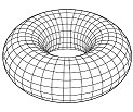 TORUS